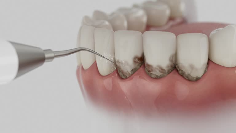 Reliable Dental contractor in Aberdeen Proving Ground, MD by Dentist Open Now